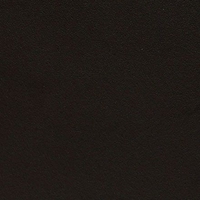 RAL 9005