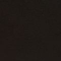 RAL 9005